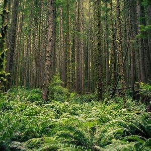 Meet your Posher, Al